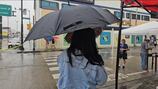 Guayaquileños salen a las urnas pese a la lluvia
