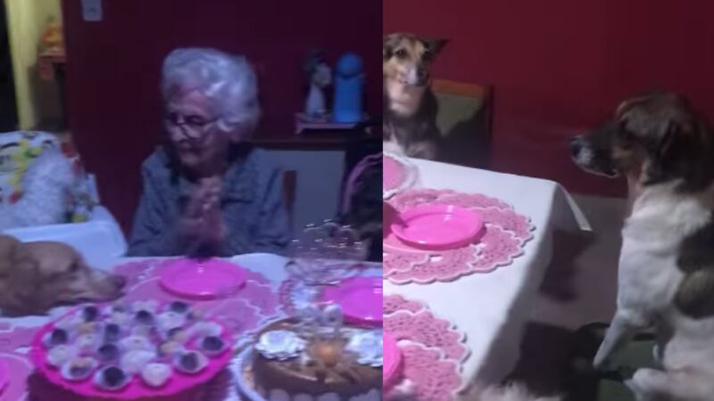 Anciana celebra su cumpleaños 89 con sus perros