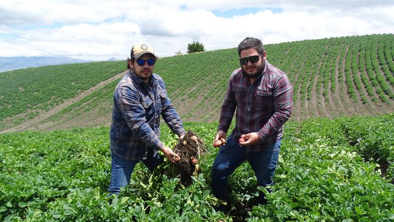 Ecuatorianos se destacan en ranking de agricultura sostenible latinoamericana