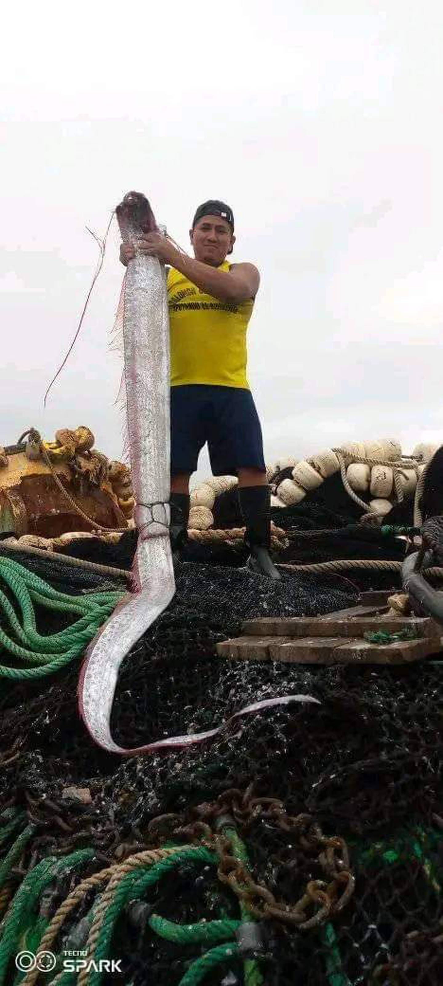 In Santa Elena, they caught a fish by oar.