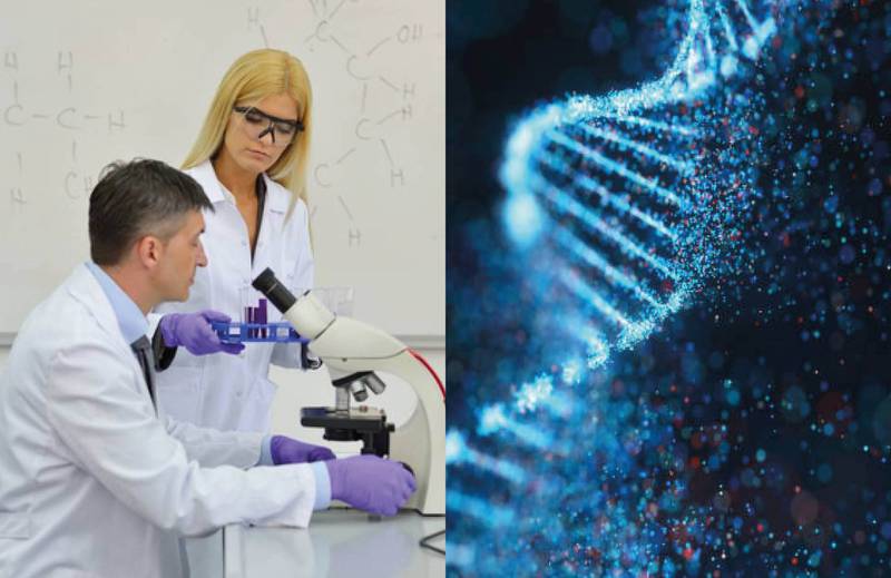 Nuevo hallazgo del ADN humano asombra a los científicos y puede ayudar en la lucha contra el cáncer