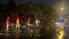 Árboles caídos y colapso de estructuras dejan lluvias en Guayaquil