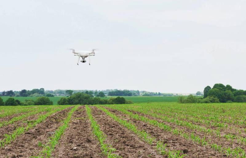Drones en un área agrícola.