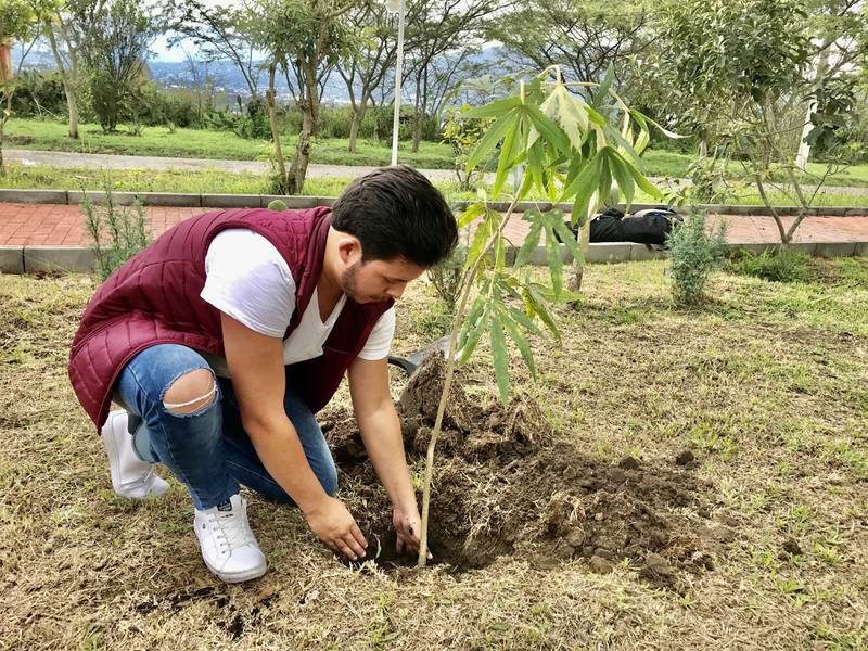 Proyecto ambiental de PUCE cuenta con apoyo de prefectos, alcaldes y  empresas para sembrar un millón de árboles – Metro Ecuador