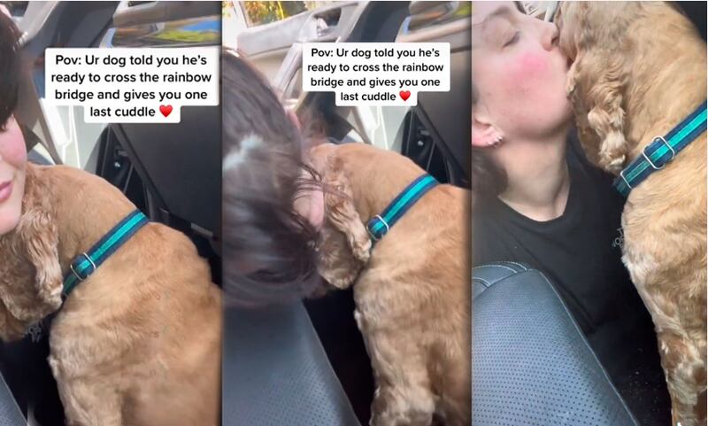 Emotivo video: Perro ‘abraza’ a su dueña antes de morir