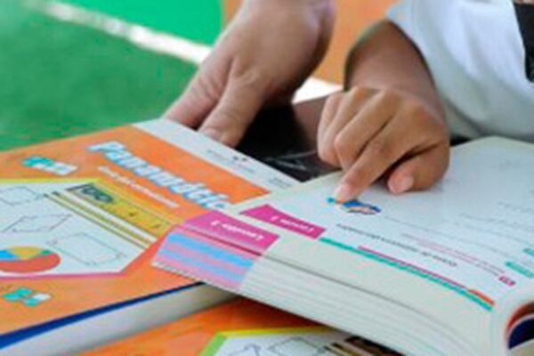 Ministerio de Educación “no cuenta con información” con respecto a las irregularidades en la distribución de textos escolares