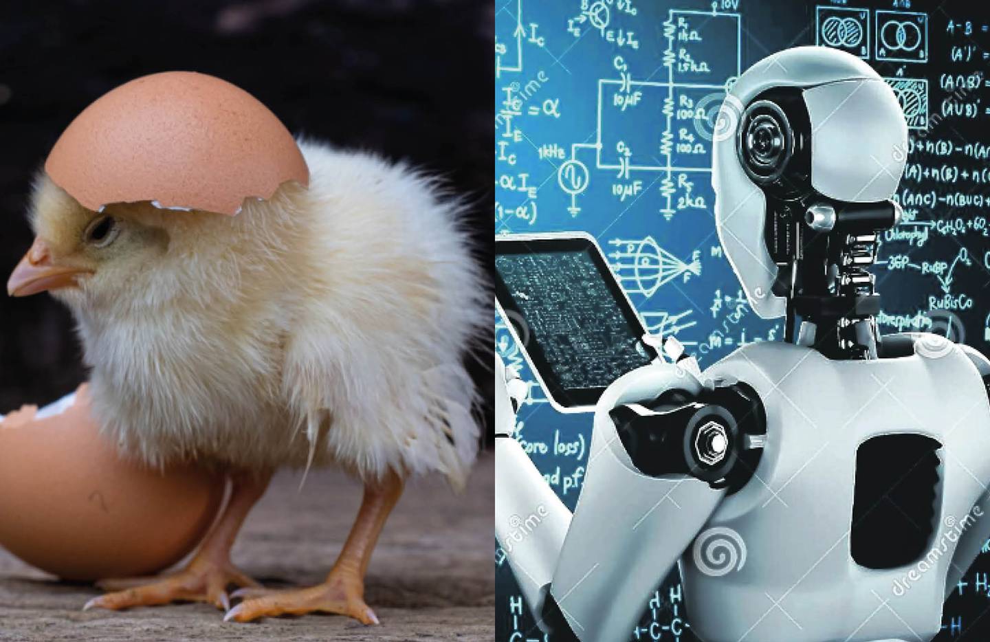 La inteligencia artificial responde al debate de que fue primero, el huevo o la gallina