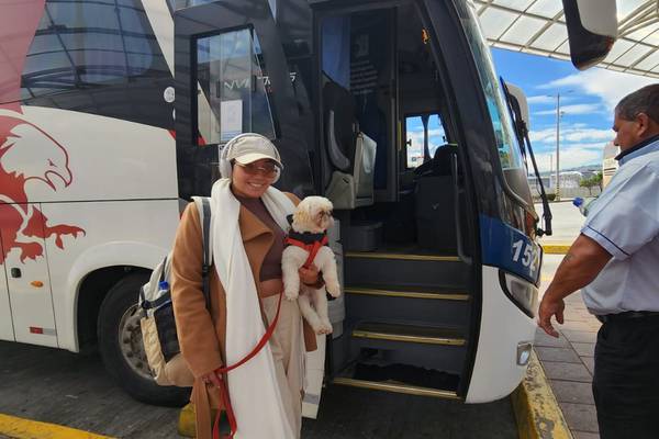 Requisitos para viajar con tu mascota desde las terminales terrestres de Quito