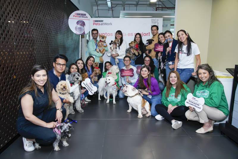 Nestlé Purina® lidera el programa “Pets at Work” por segundo año consecutivo