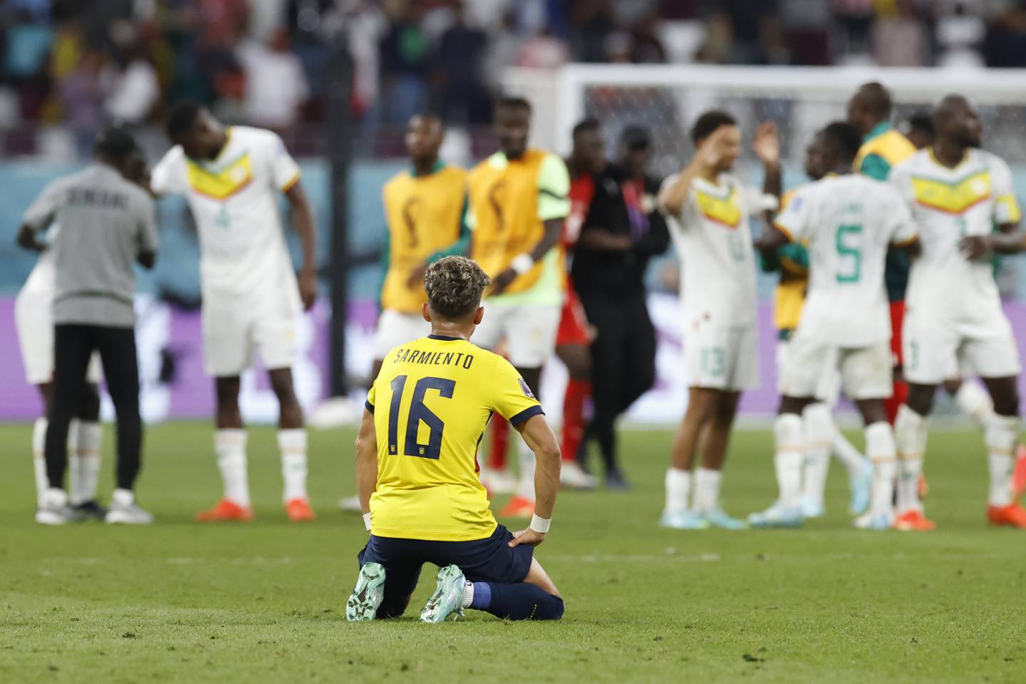 Jeremy Sarmiento de Ecuador reacciona hoy, al final de un partido de la fase de grupos del Mundial de Fútbol Qatar 2022 entre Ecuador y Senegal