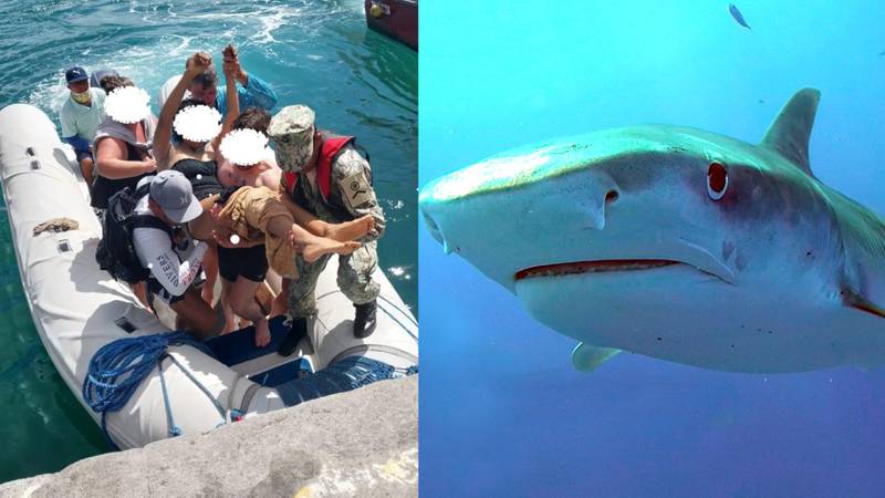 ¡No perdió la pierna! Las decenas de puntadas que recibió la turista extranjera tras ser mordida por tiburón en Galápagos