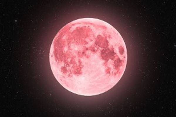 ¡Espectacular! La Luna rosa sí podrá verse en Ecuador