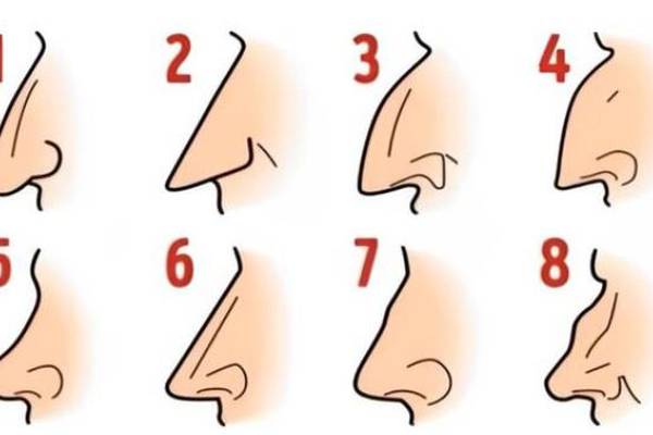 ¿Cuál es la forma de tu nariz? La respuesta te ayudará a saber cuále son tus virtudes y defectos