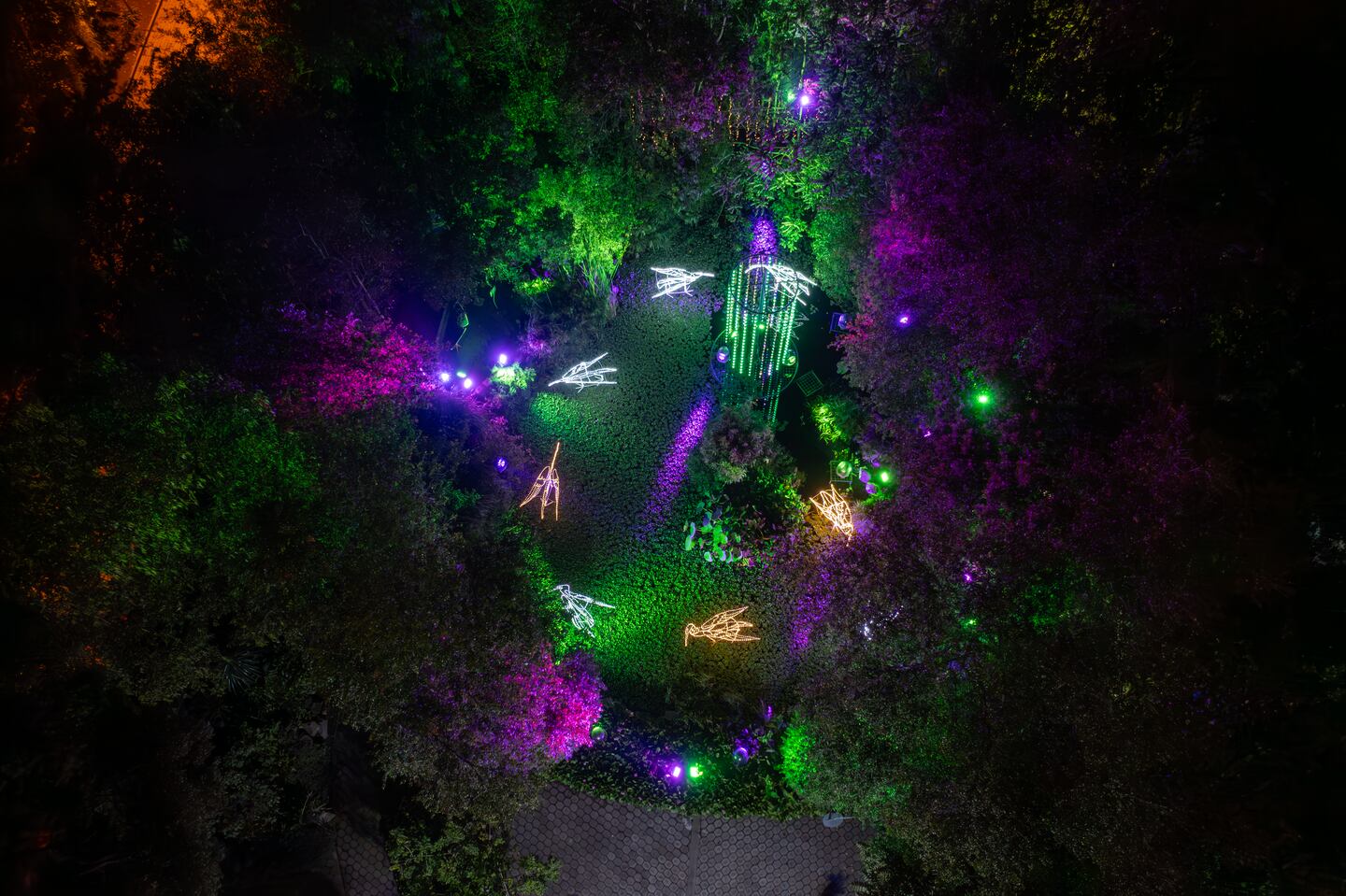 El Jardín Botánico de Quito se ilumina con el “Bosque de Luz”