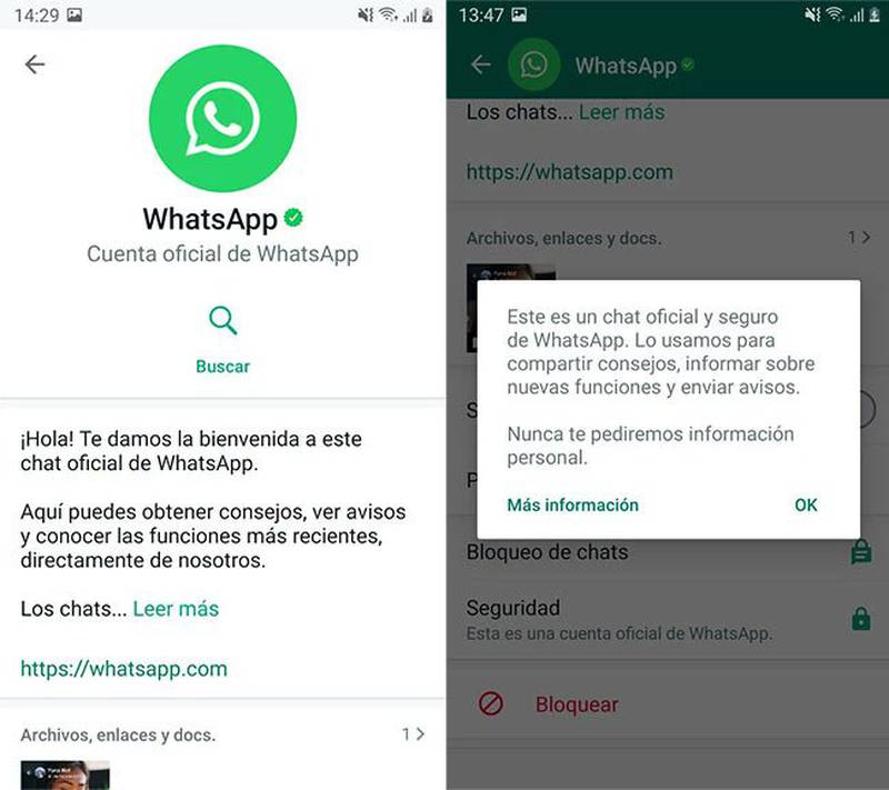 WhatsApp-chat-oficial