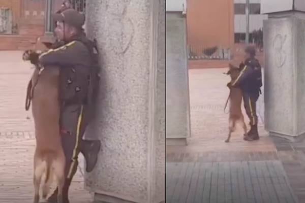 ¡Puro amor! Guardia de seguridad y su perrito se abrazan mientras están de turno
