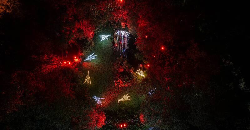 El Jardín Botánico de Quito se ilumina con el “Bosque de Luz”