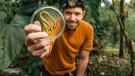 Exploradores descubren tres nuevas especies de serpientes en cementerios de Ecuador
