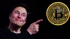 Elon Musk afirma que nunca dijo a la gente que debería invertir en criptomonedas pero su Twitter cuenta otra historia