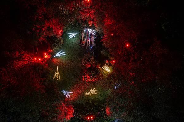 Horarios y costo de la entrada para visitar el ‘Bosque de luz’ en el Jardín Botánico de Quito 