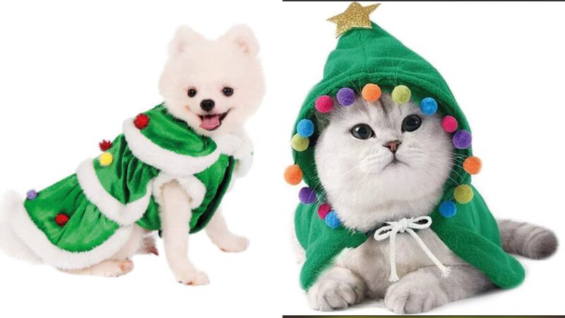 Los mejores disfraces para tu mascota en esta Navidad
