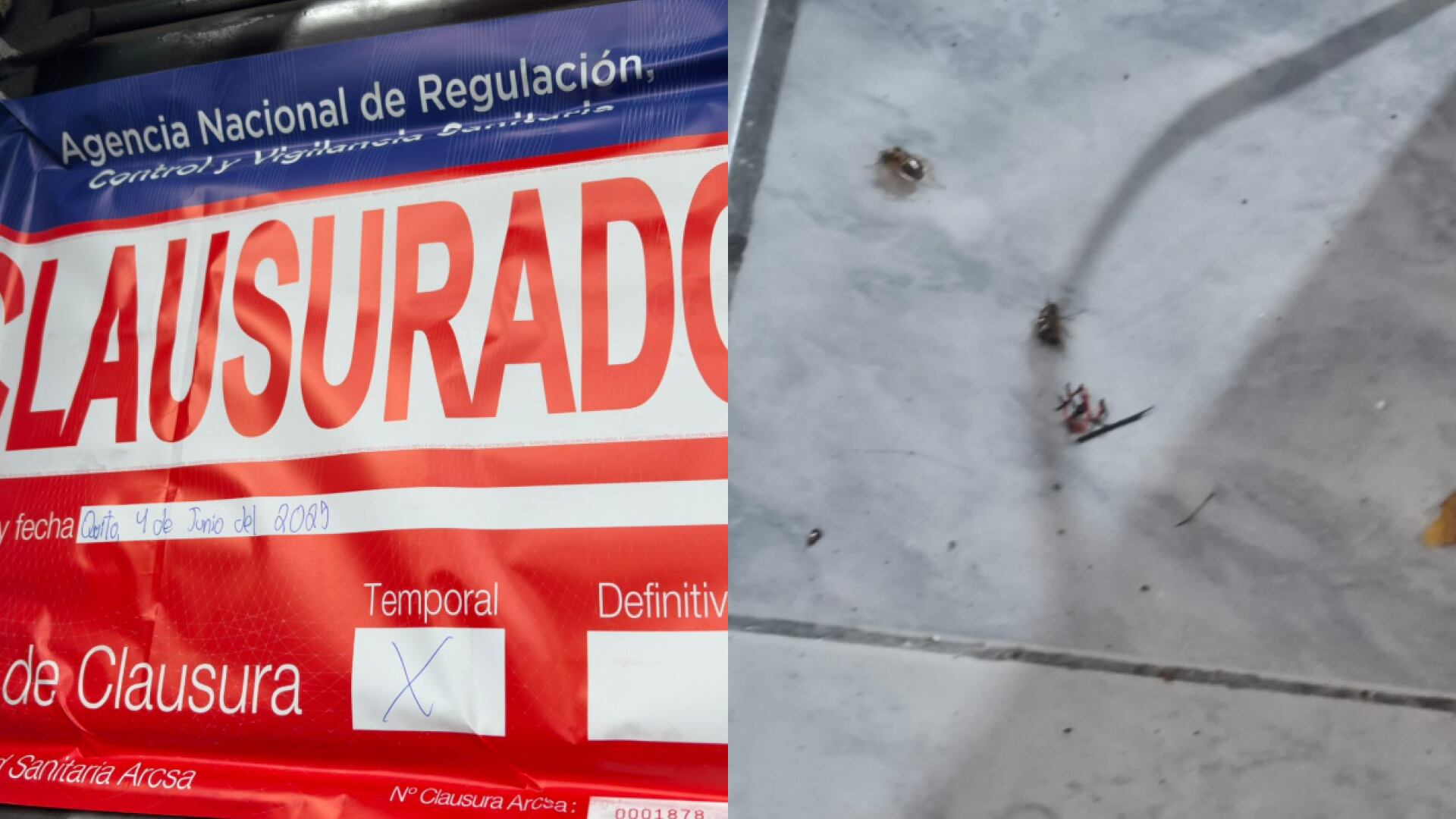 Clausuran chifa en Quito por insalubridad y presencia de cucarachas