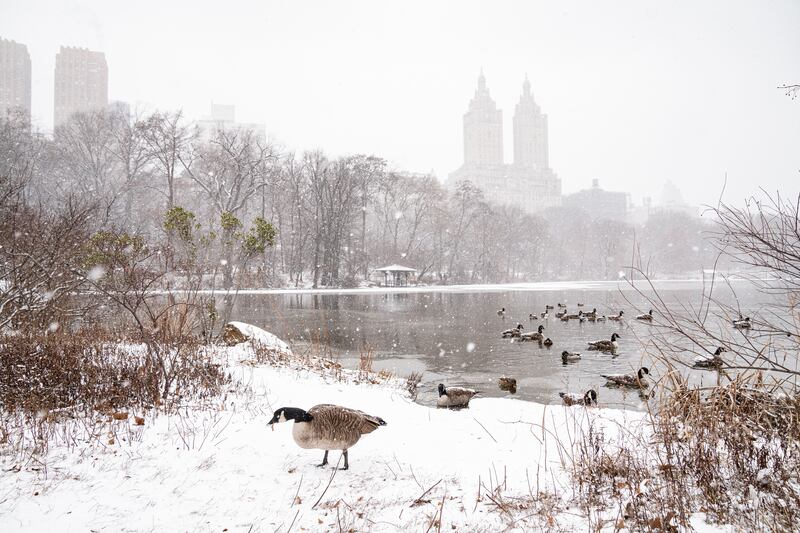 Tormenta invernal que azota Estados Unidos