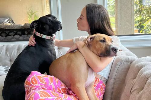 Modelo y actriz de contenido para adultos vende fotos online para ayudar a animales abandonados