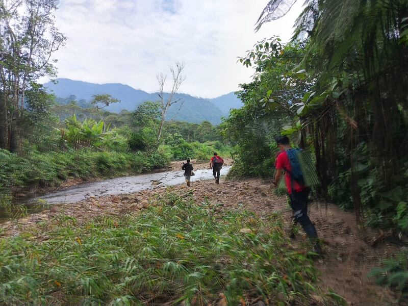 Rescate del niño Israel en la selva