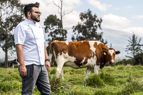 Tributo: Donde la pasión por la carne se convierte en arte culinario