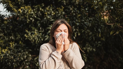 Los síntomas de la súper gripe H3N2 K.