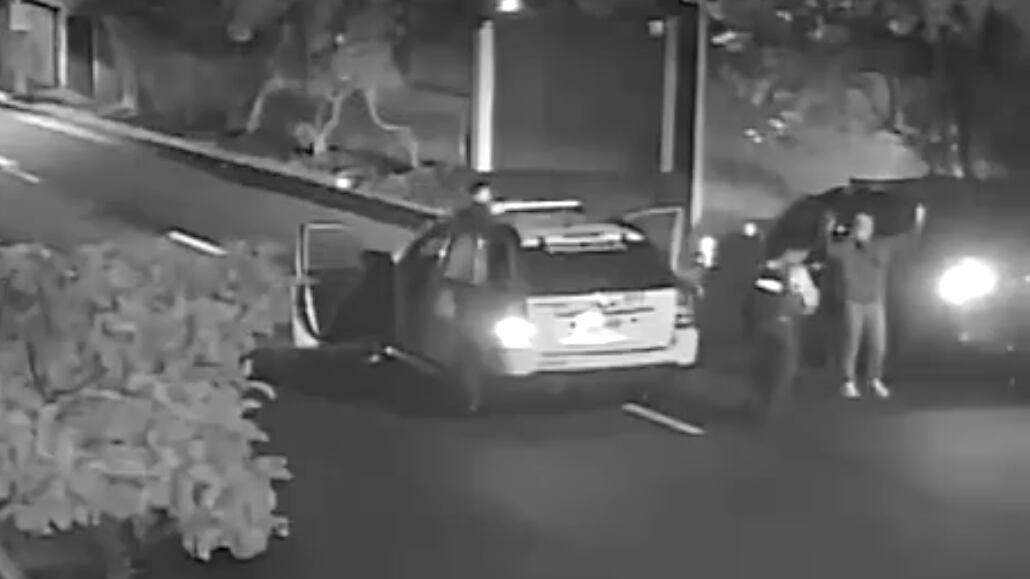 VIDEO: Así fue como abatieron a integrante de “Los Lobos” en Quito