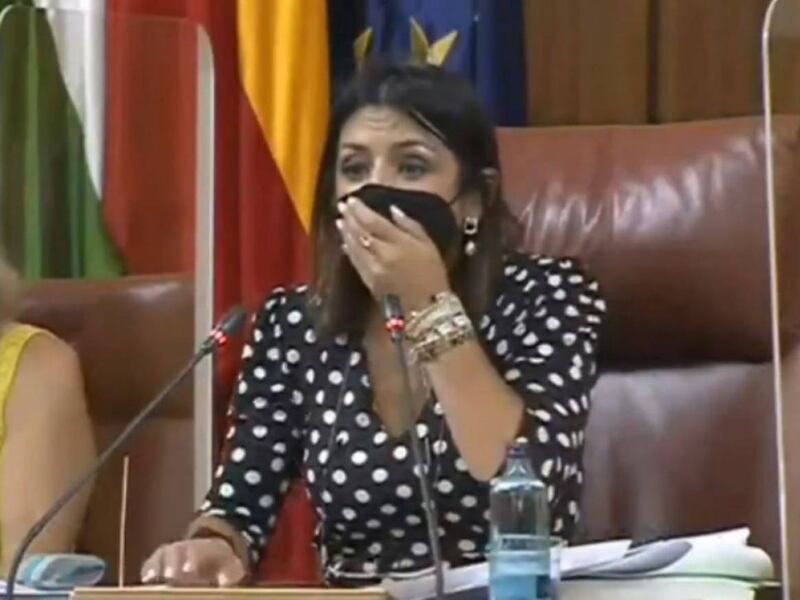 ¡Mira! lo que causó una rata en pleno Parlamento de Andalucía