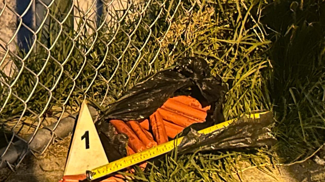 Tacos de dinamita en La Colmena