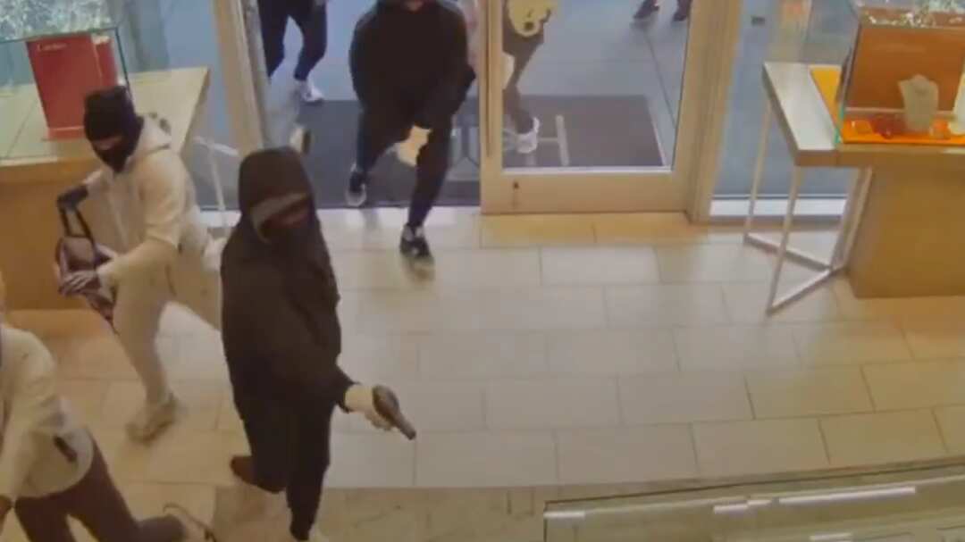 Robo millonario en joyería de EE.UU.: 20 encapuchados asaltaron a plena luz del día