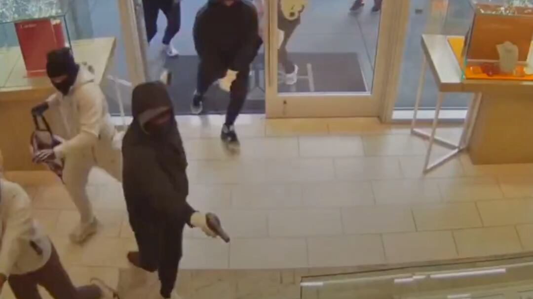 Robo millonario en joyería de EE.UU.: 20 encapuchados asaltaron a plena luz del día