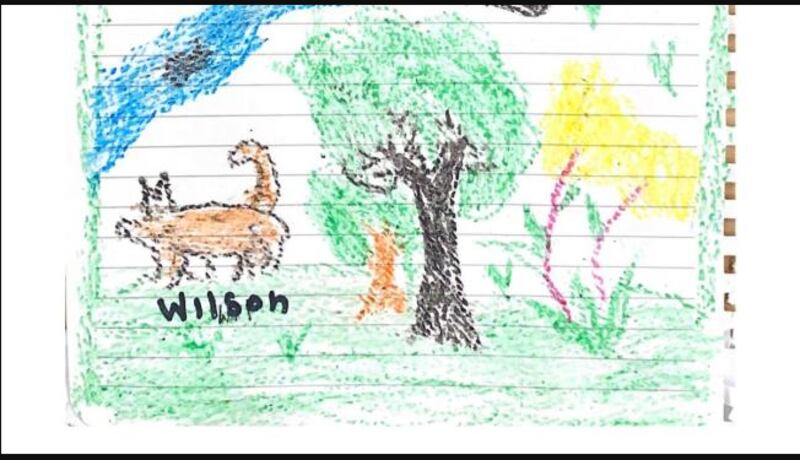 Dibujo de Wilson de Leslye
