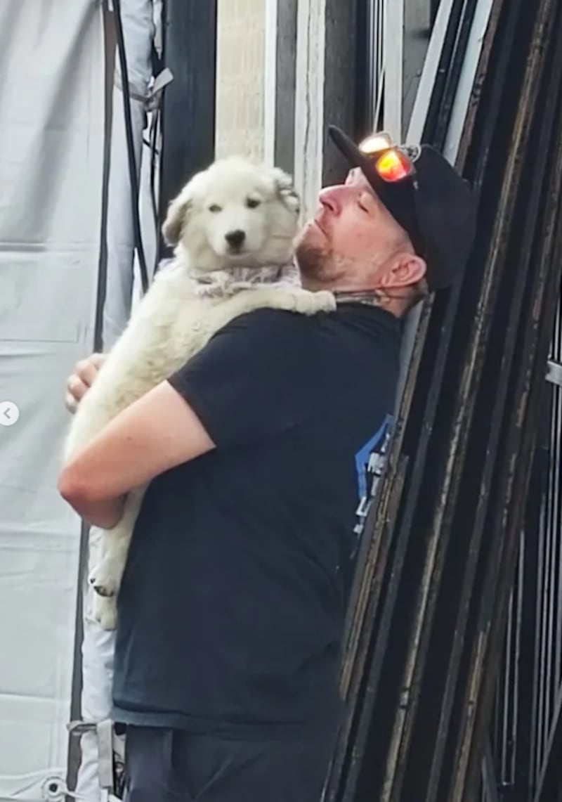 @camiloenaccionanimal