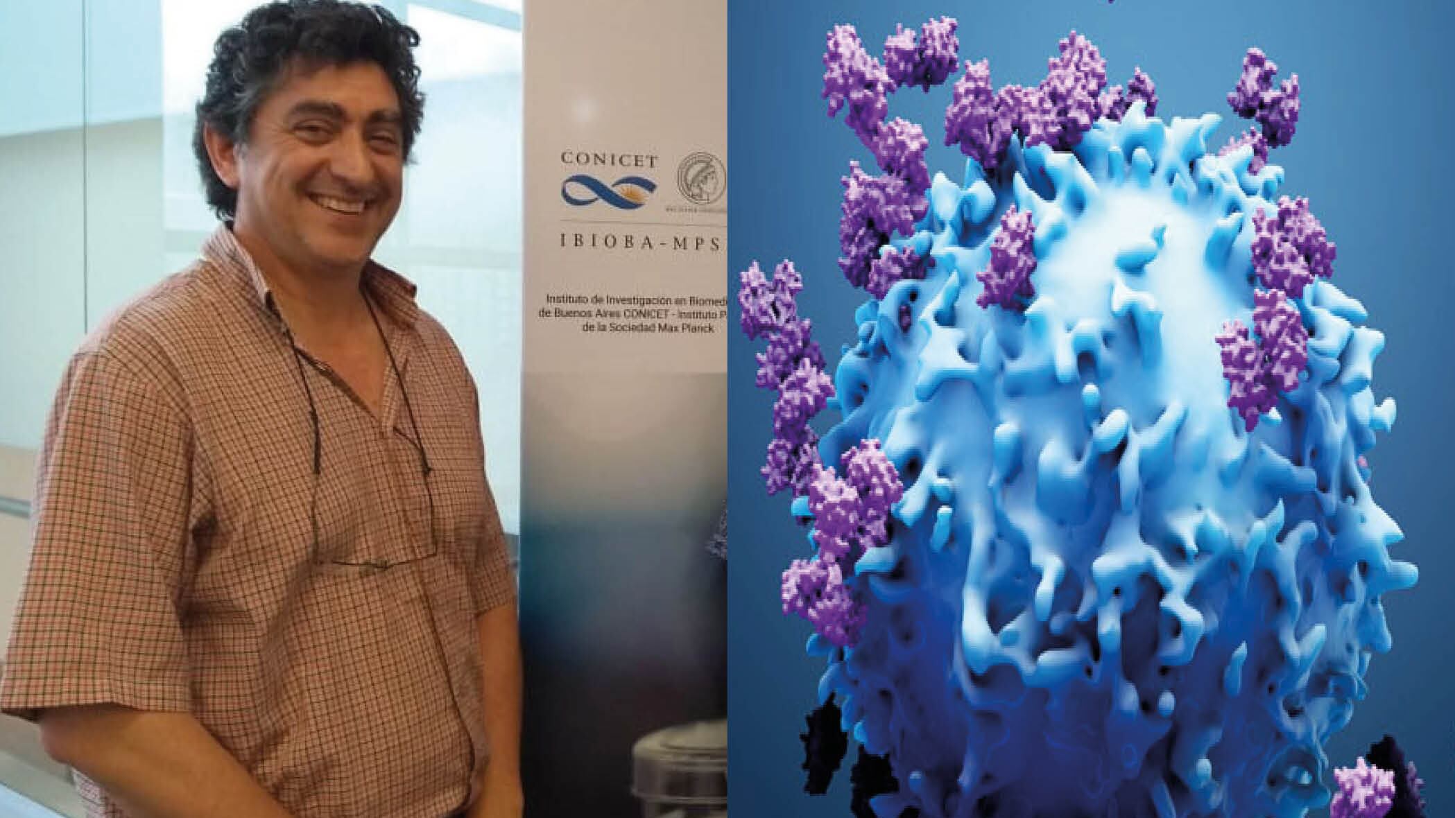 Proteína cancerígena fue modificada por científicos y podría combatir el cáncer