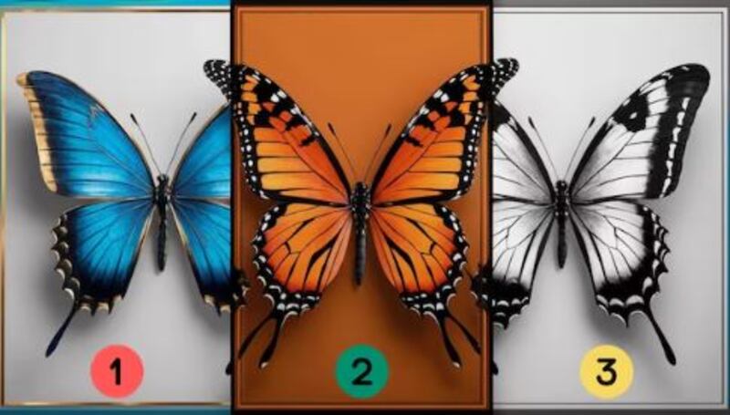 Imagen del test visual