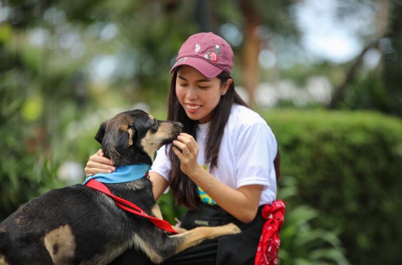 Animalitos encuentran un hogar en ferias de adopción.