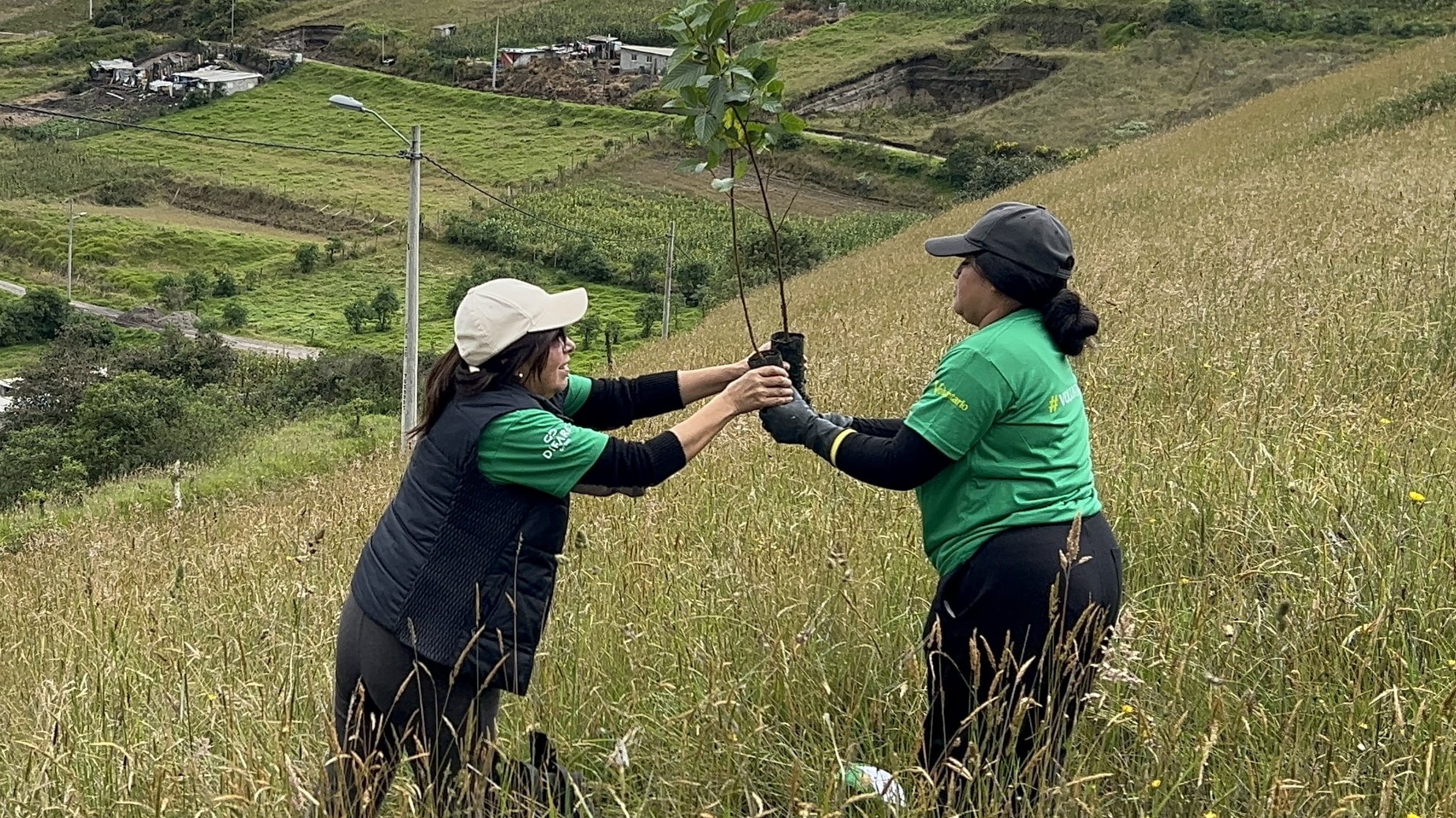 Reforestación, mingas de limpieza y energía renovable forman parte de las iniciativas sostenibles de la empresa durante el Mes del Ambiente.
