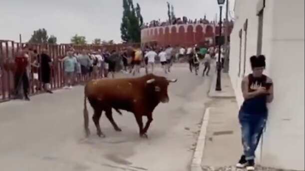 Mujer embestida por un toro