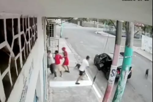 Perros héroes impiden secuestro de su humano en Durán