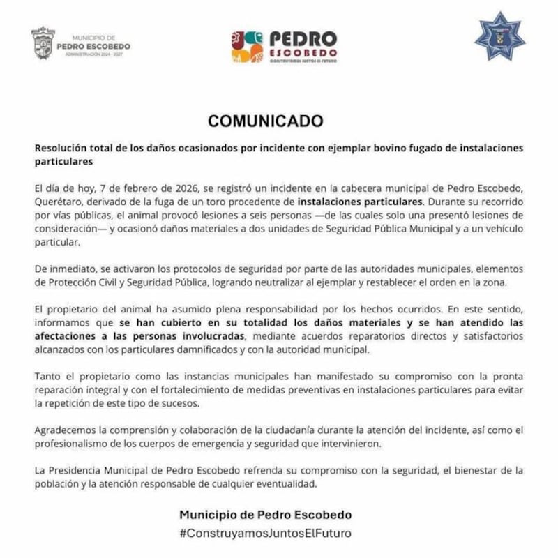Toro suelto recorre calles de Pedro Escobedo, provoca seis heridos y alarma entre vecinos y comerciantes