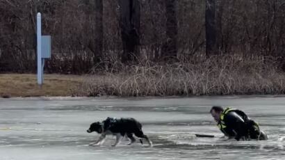 Policía salva a una perrita de morir ahogado en un lago congelado