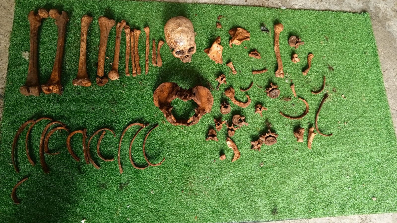 Operativo del Ejército Ecuatoriano logró dar con osamentas humanas.