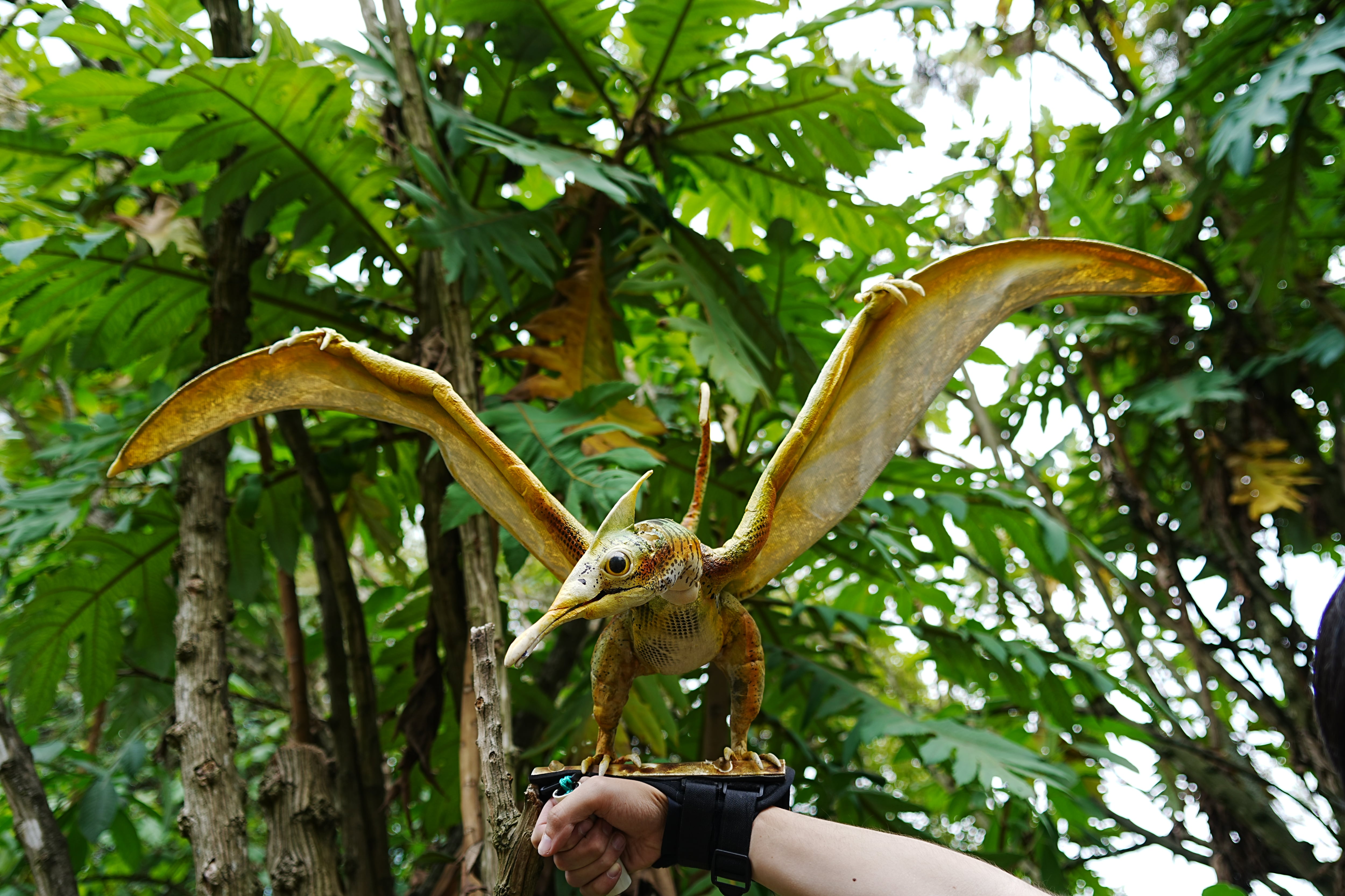 “Jardín Jurásico” llega al Jardín Botánico de Quito con dinosaurios a tamaño real