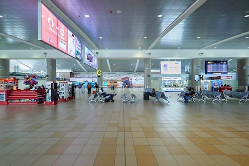 Ecuador refuerza controles en aeropuertos tras caso de peste porcina africana detectado en España