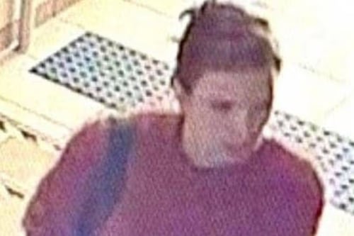 Hallan sin vida a famosa actriz días después de desaparecer: su auto estaba abandonado en un bosque